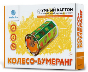Научно-познавательный набор для детского творчества и экспериментов /Колесо-бумеранг/
