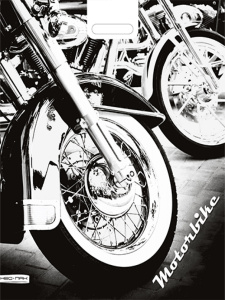 Пакет полиэтиленовый вырубной  Байк 41х51 НФ-00005423