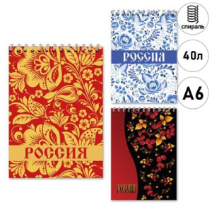 Блокнот А6, 40 л., обложка картон, блок офсет, клетка, на спирали, ассорти 3 дизайна