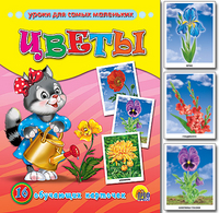 ОБУЧАЮЩИЕ КАРТОЧКИ. ЦВЕТЫ