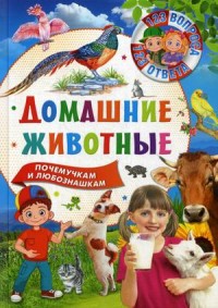 123 вопроса – 123 ответа. Домашние животные