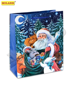 Пакет подарочный Дедушка читает письма (М) 12 шт П003-0044