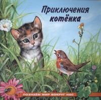 Приключения котенка