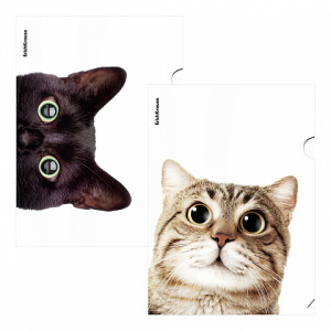 Папка-уголок пластиковая ErichKrause Hiding Cats, A4, ассорти (в пакете по 12 шт.) 4 дизайна