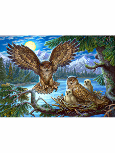 Алмаз. мозаика (класс.)30х40см,без подр.,с полн. заполн.(31 цв.) СЕМЬЯ СОВ (ST737)