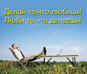 Виниловый магнит /Делай то, что любишь!/  (пакетик с европодвесом) Т-3246