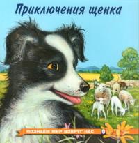 Приключения щенка