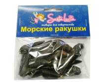 Теребра черная Ракушка (21)