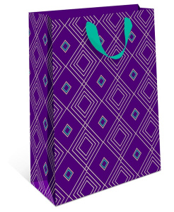 Сумка бумажная стандарт плюс 180х223х100мм 1312.520