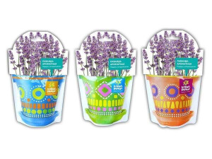 Лаванда ароматная