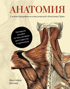 Анатомия  (с иллюстрациями из классической /Анатомии Грея)