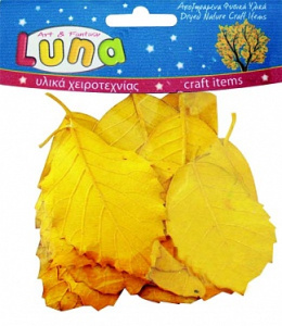 0620169 Сухоцветы листья желтые 12 шт