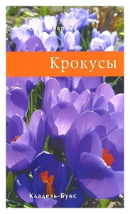 Кладезь.Крокусы