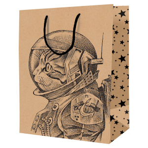 Пакет подарочный 18*23*10см ArtSpace /Space Cat/, крафт K_46098