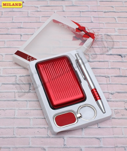 Набор подарочный 3 в 1 /Леди/ (ручка, брелок, держатель для карт) ПН-2569