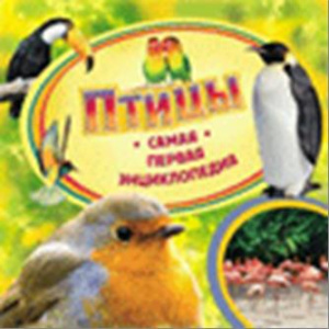Птицы