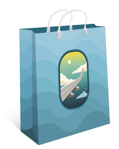 0428.409 Сумка пластиковая 	260х240х90