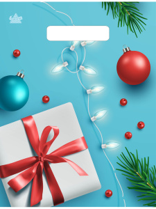 Пакет вырубной Подарок и шарики (30х23 см) н00205493