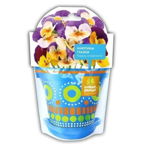 Анютины глазки