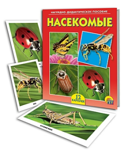 ДИД. ПОСОБИЕ. НАСЕКОМЫЕ (Арт.ПД-6899)