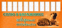 ТАБЛИЧКА /Телефон водителя/ 120*270 1783