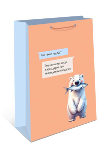 0193.659 Сумка подарочная AB 260х320х120