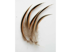 Перо декоративное № 34 (5 шт.)