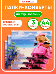 Папка-конверт на молнии А4, 180мкм, КАПИБАРБИ (ПК-8677/3) комплект 3 шт !