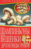 НачинающемуФермеру-СоветыНачинающим.Шампиньоны.Вешенки.Другие виды грибов
