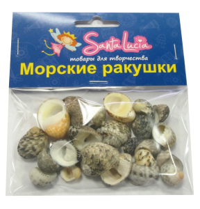 2223 Ракушка Нерита коммунис 50гр