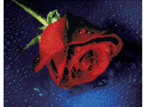 Набор для вышивания крестиком 7003-3D Прекрасная роза