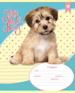 TМ/Profit/Тетрадь ЛИНИЯ 12л. МИКС.д-71 (12-3533) (обл.- картон-хромэрзац, второй блок), 10 диз