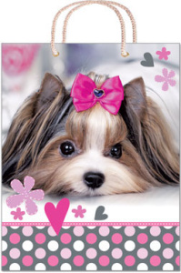 Ламинированная сумка 36657