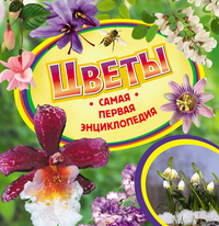 Цветы