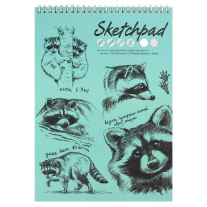 Скетчпад А4 210х290 мм, 40 л, блок - белый офсет, серый офсет 80 г/м², арт. 62768 ЕНОТ-ПОЛОСКУН /обл