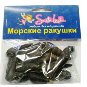 2211 Ракушка Теребра черная 50гр