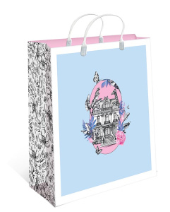 0428.433 Сумка пластиковая  260х240х90