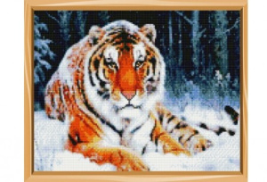 Алмаз. мозаика (класс.)30х40см,без подр.,с полн. заполн.(34 цв.) ТИГР В СНЕГУ (Арт. B2524)