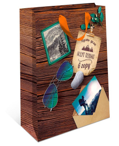 Сумка бумажная стандарт плюс 1312.137