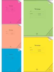 Тетрадь КЛЕТКА 12л. цвет.пласт.обл. plastic cover НЕОН (12-1340) ассорти 5 цветов