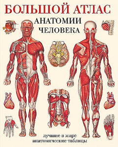 Большой атлас анатомии человека
