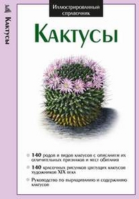 Кактусы