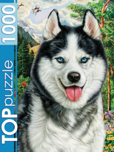 TOPpuzzle. ПАЗЛЫ 1000 элементов. 0,374 Портрет хаски