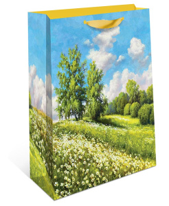 2310.011 Сумка бумажная стандарт плюс АВ 	260х320х120