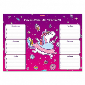 расписание уроков А3 единорог