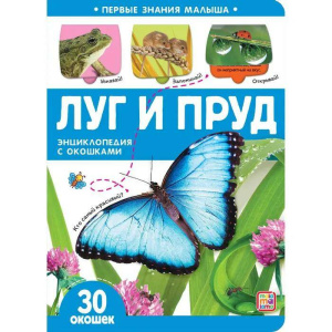 Луг и пруд. Первые знания малыша