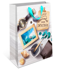 Сумка бумажная стандарт плюс 1310.136