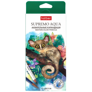 Карандаши цветные Hatber Акварельные круглый корпус 12 цв. SUPREMO AQUA заточен.  в карт. короб. с е