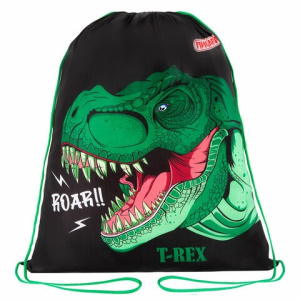 Мешок для обуви ПИФАГОР, 1 отделение, 42х34 см, /Dino roar/, 272387