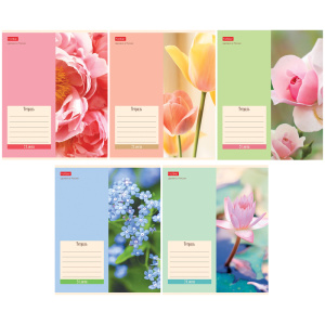Тетрадь 24л А5ф ЛИНИЯ 65г/кв.м на скобе   5 диз.в блоке скругл.углы серия -Flowers-